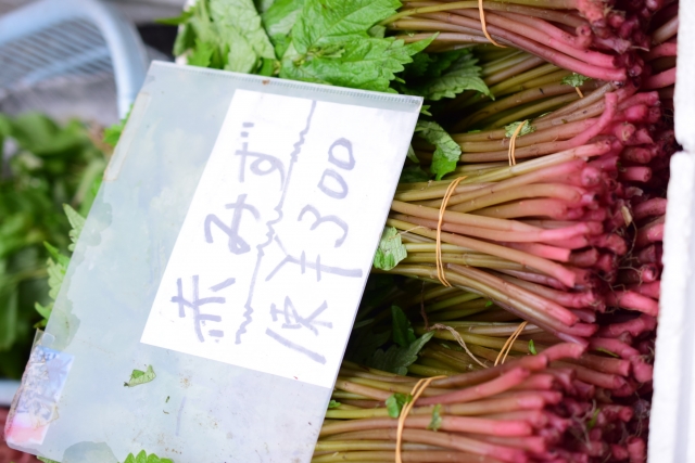 赤みず1束300円