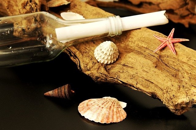 流木と貝殻とヒトデとガラス瓶