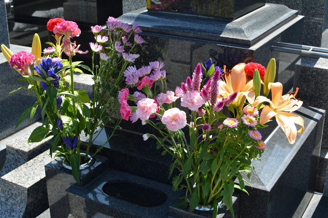 きれいな花がお供えされた墓