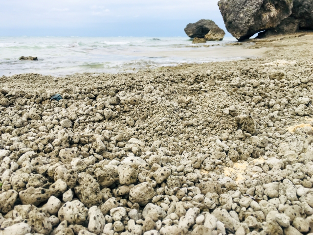 海岸に漂着した大量の軽石