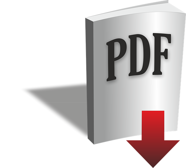 PDFのイメージ
