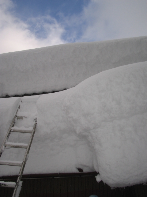 屋根に積もった雪と梯子