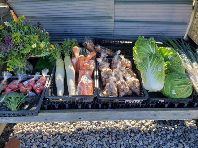 野菜の無人販売所