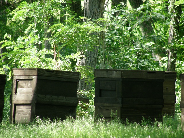 養蜂で使う重箱タイプの巣箱