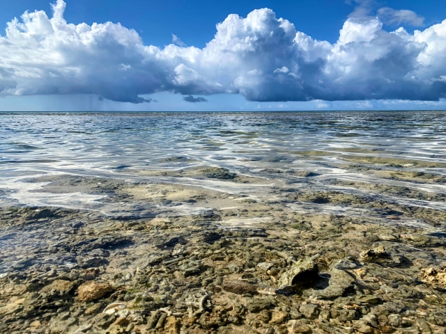 沖縄の海