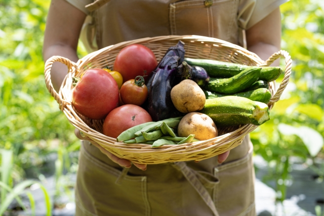 採れたての野菜を籠いっぱいに持つ女性