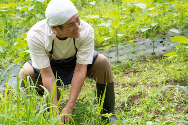 笑顔で畑の草むしりをする男性