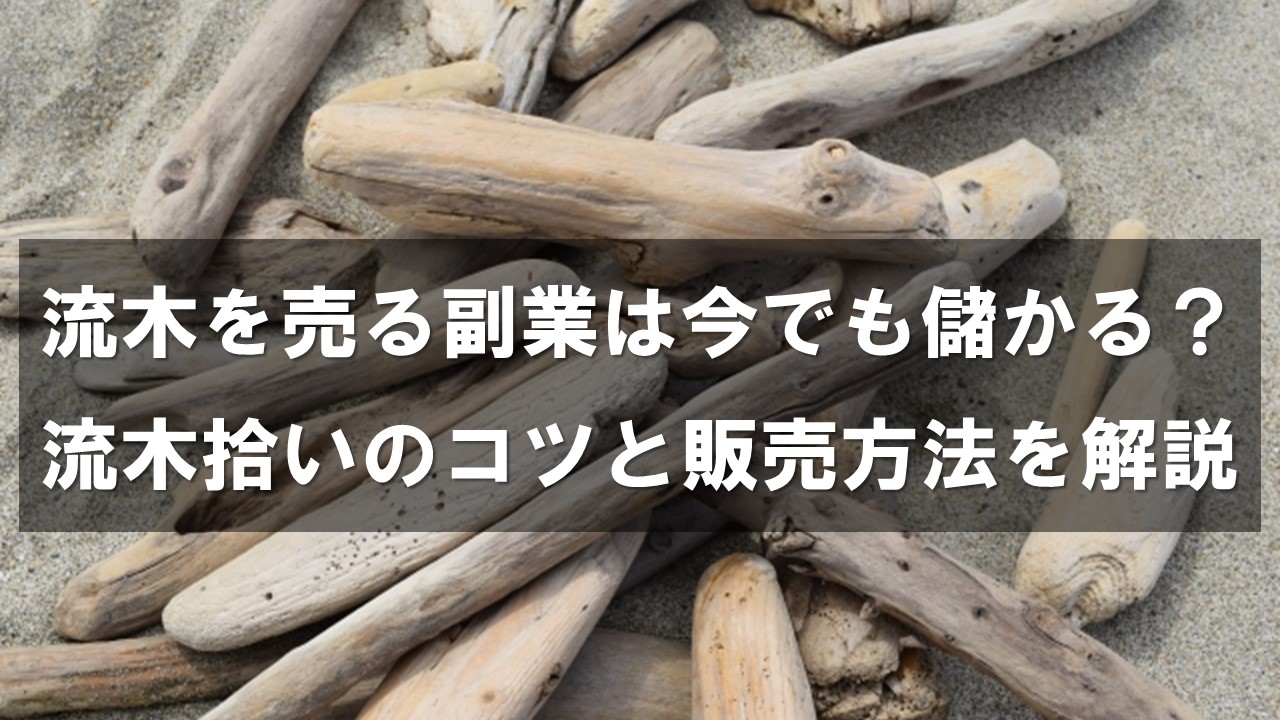 流木を売る副業は今でも儲かる？流木拾いのコツと販売方法を解説