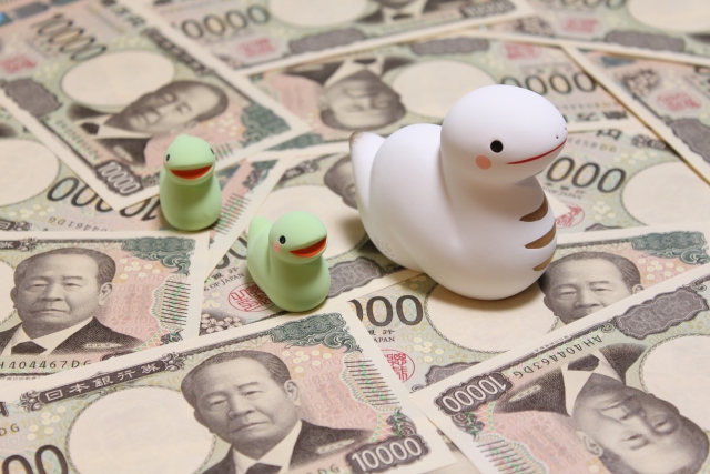 蛇のマスコット人形と1万円札