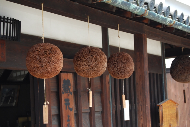 蜂の巣と似た造り酒屋の杉玉
