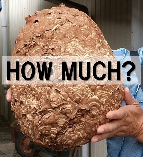 HOW MUCH?